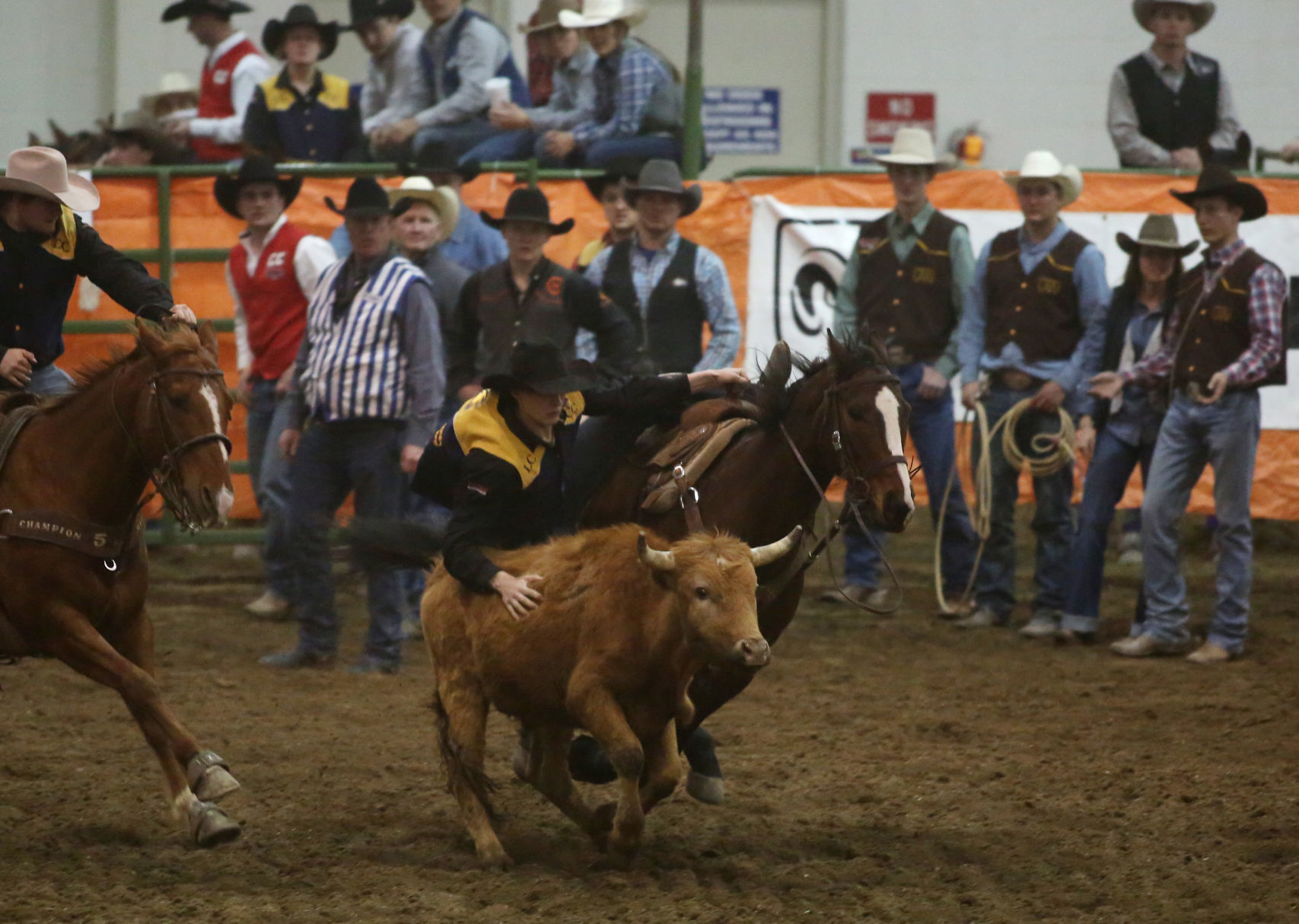 Ropin' and Riggin' Days Rodeo